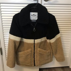 hollister teddy bear